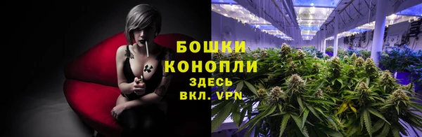 не бодяженный Богородицк