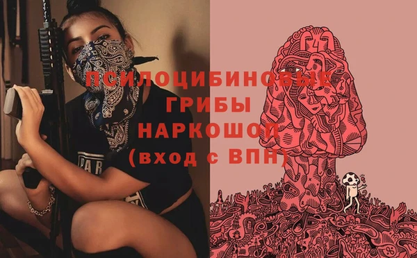 марки lsd Богданович