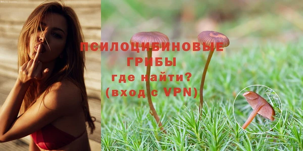 а пвп мука Балабаново