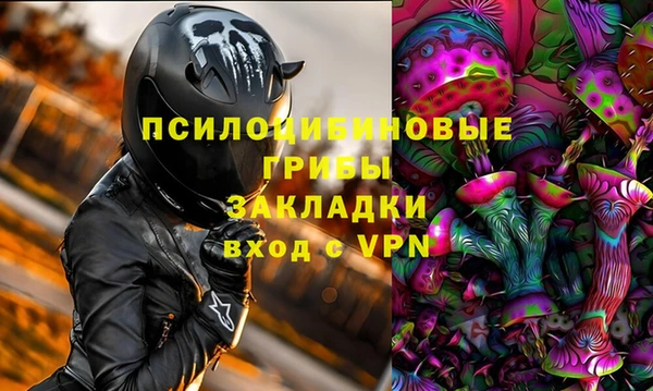 марки lsd Богданович
