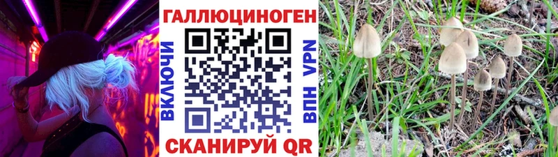 Галлюциногенные грибы MAGIC MUSHROOMS  Серов 